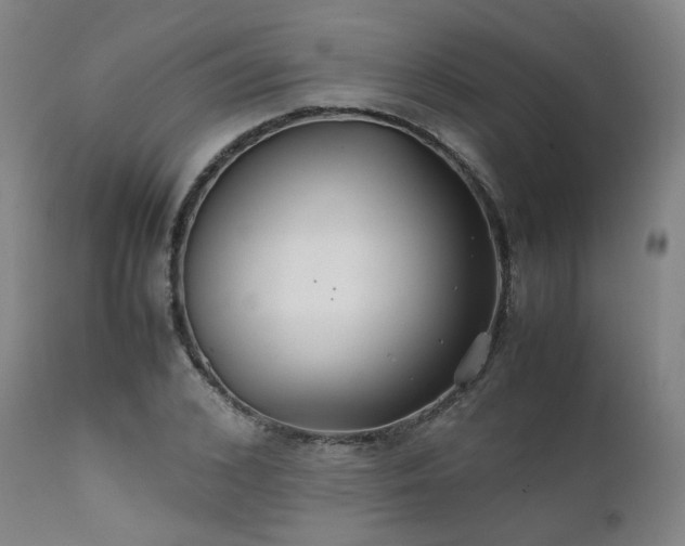 X0000111230976200907091332
