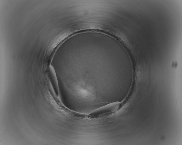 X0000111230977200907091332