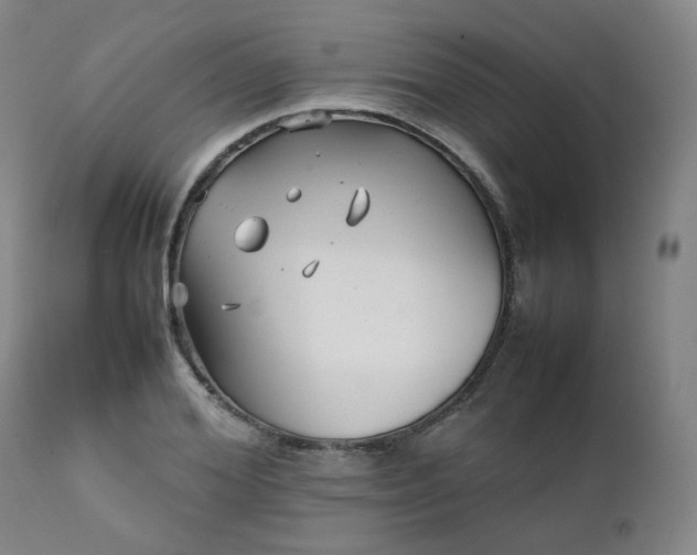 X0000111230980200907091332