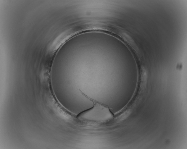 X0000111230985200907091332