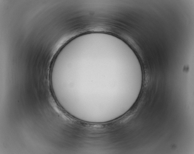X0000111230986200907091331