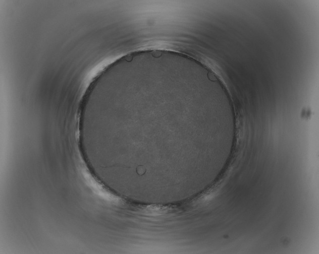 X0000111230987200907091331