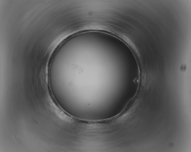 X0000111230988200907091331