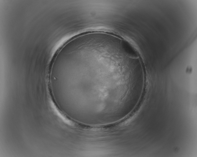X0000111230989200907091331