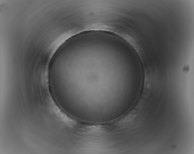 X0000111230990200907091331