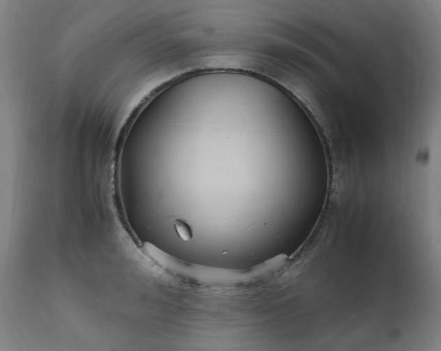 X0000111230992200907091331