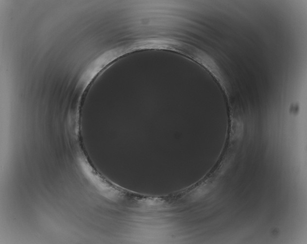 X0000111230994200907091331