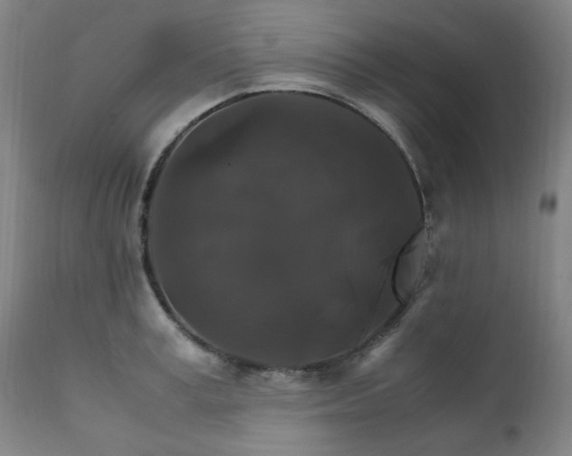 X0000111230995200907091331