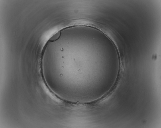 X0000111230997200907091331