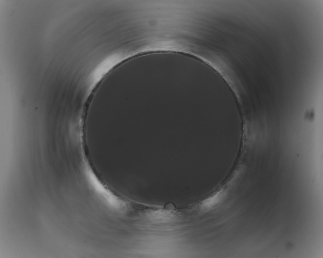 X0000111230998200907091331