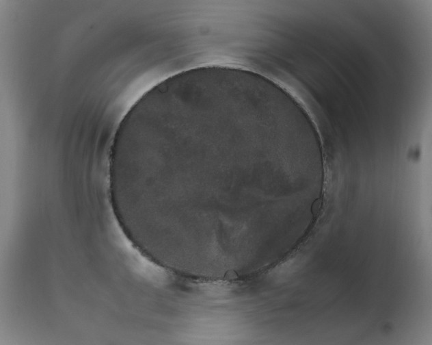 X0000111230999200907091331