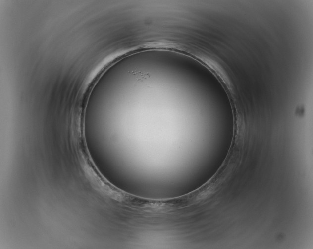 X0000111231000200907091331