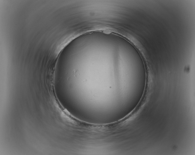 X0000111231001200907091331