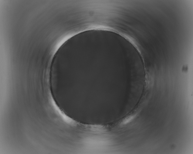 X0000111231007200907091331