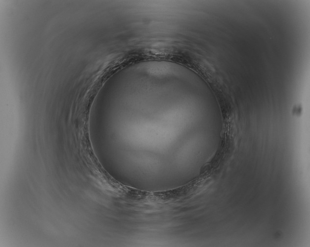 X0000111231009200907091331