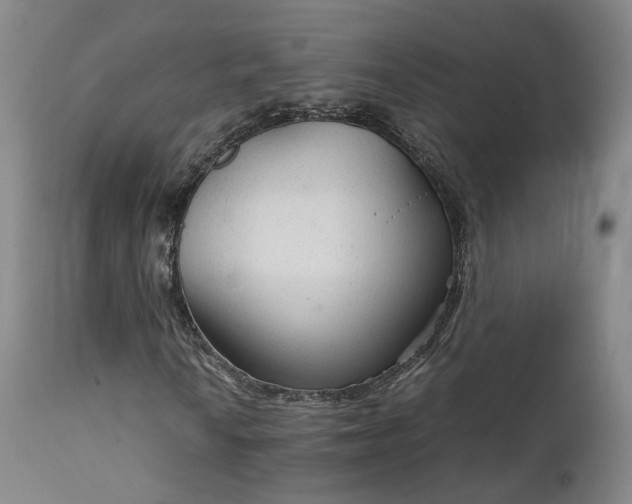 X0000111231010200907091331