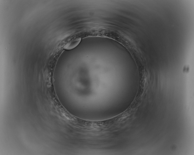 X0000111231013200907091331