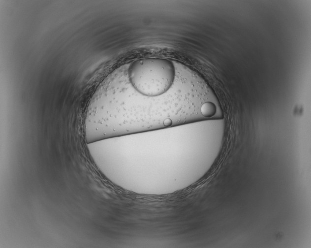 X0000111231014200907091331