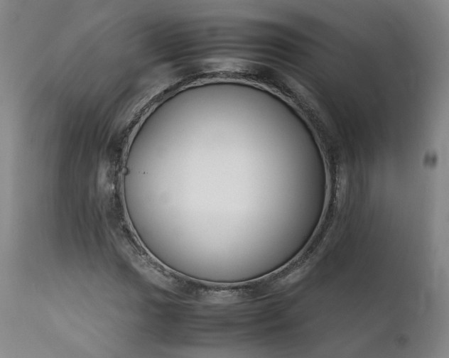 X0000111231017200907091331