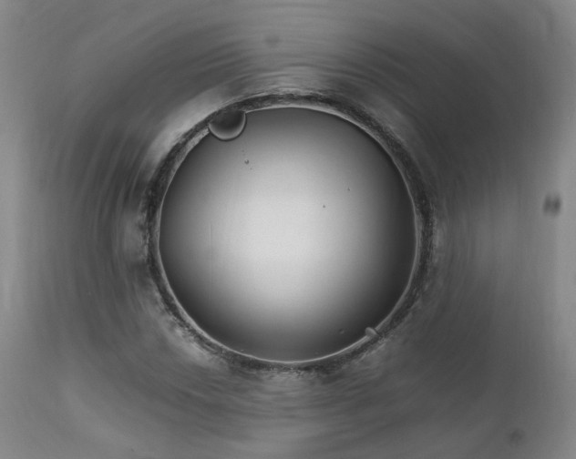 X0000111231018200907091331