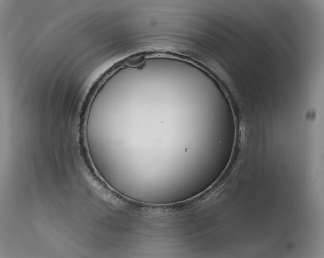 X0000111231020200907091331