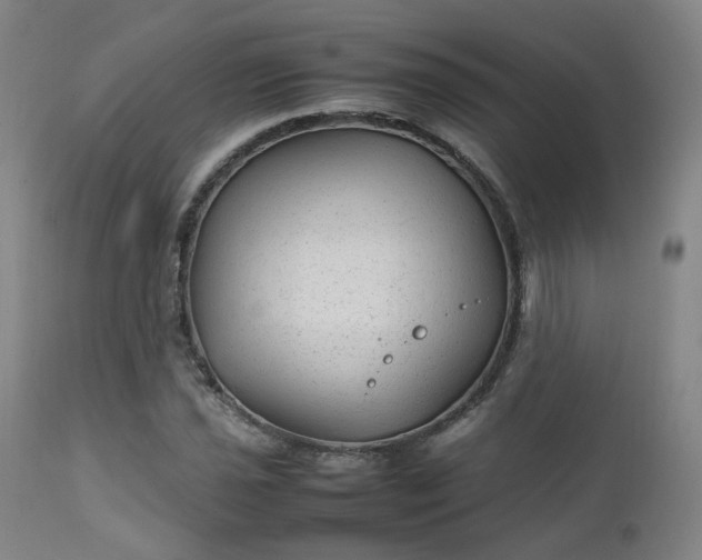 X0000111231021200907091331