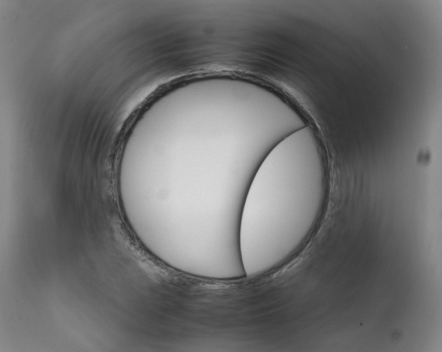 X0000111231023200907091331