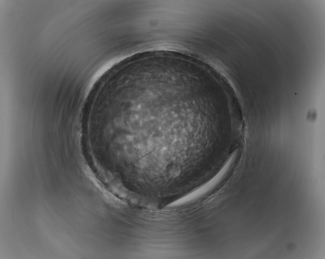 X0000111231024200907091331