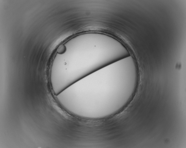 X0000111231026200907091331