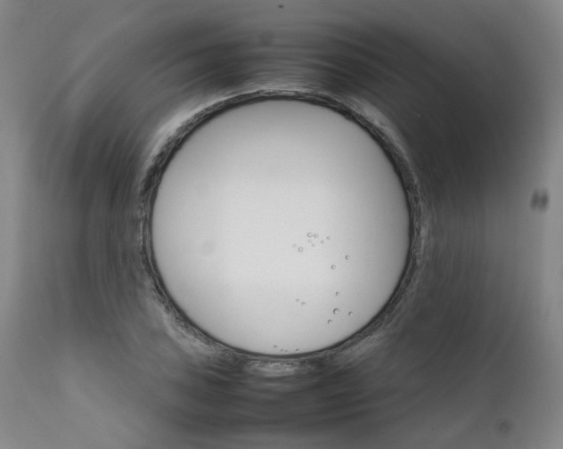 X0000111231027200907091331