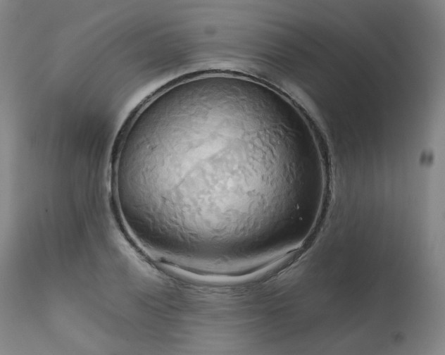 X0000111231028200907091331