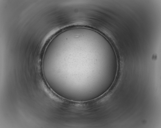 X0000111231029200907091331