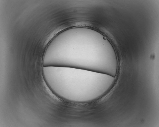 X0000111231033200907091331