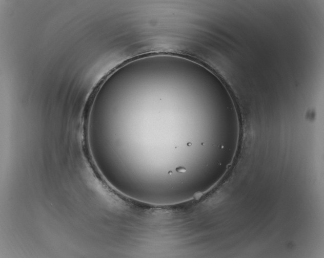 X0000111231034200907091331