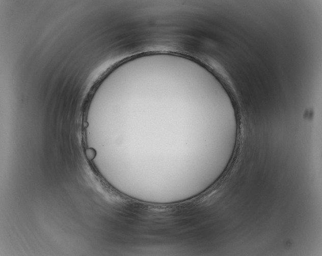 X0000111231035200907091331