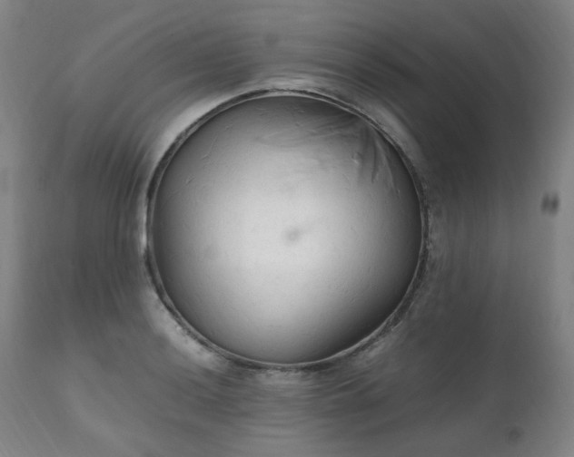 X0000111231036200907091331