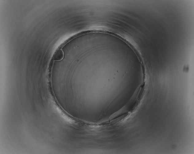 X0000111231037200907091331