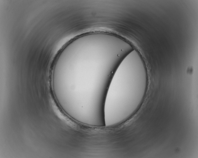 X0000111231038200907091331