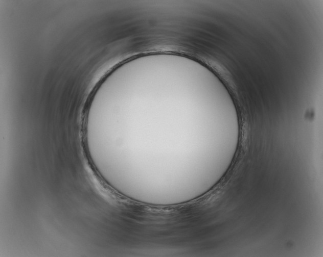X0000111231039200907091331