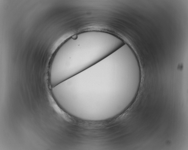 X0000111231042200907091331