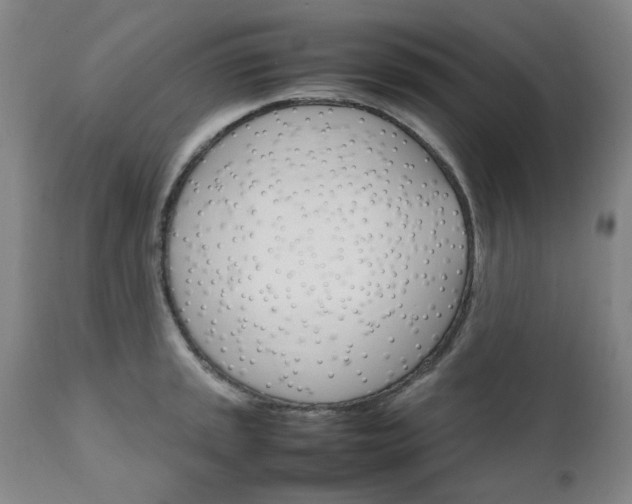 X0000111231045200907091331