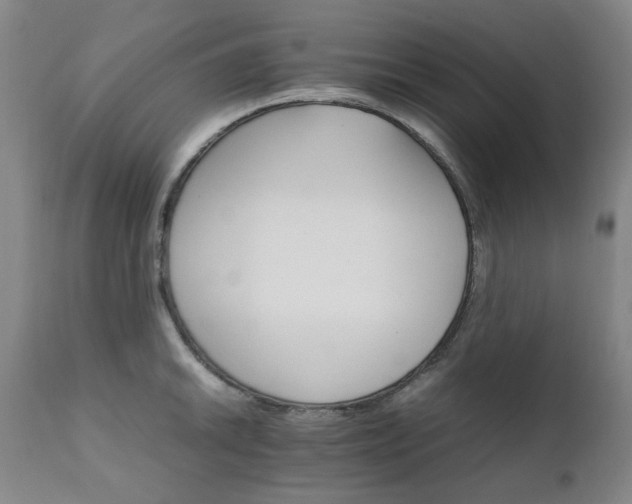 X0000111231046200907091331