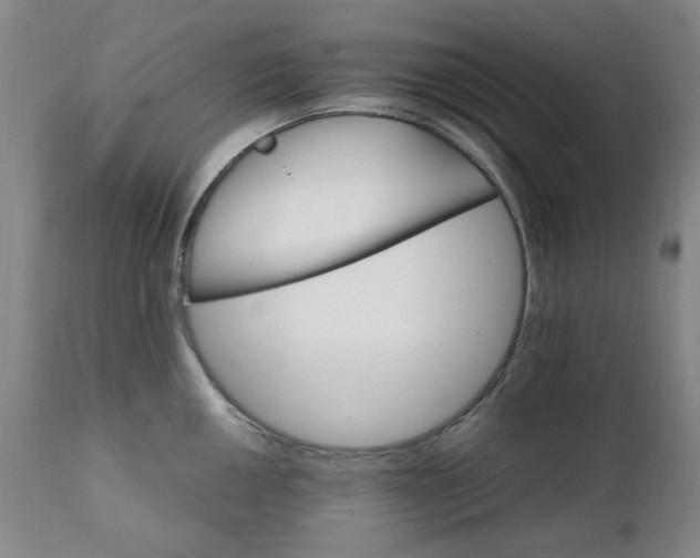 X0000111231050200907091331