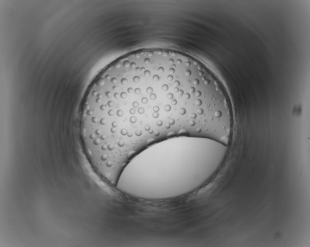 X0000111231053200907091331