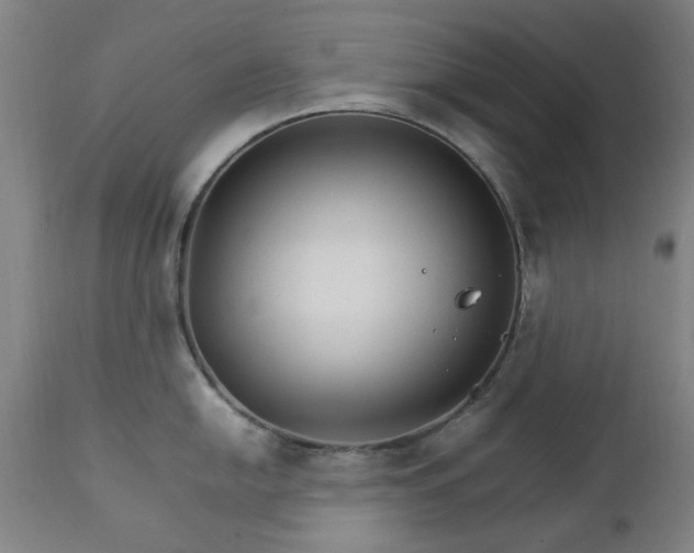 X0000111231054200907091331