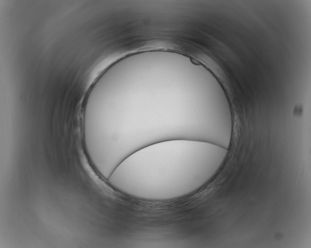 X0000111231055200907091331