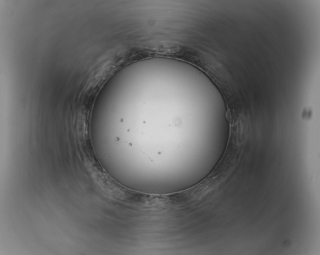 X0000111231058200907091330