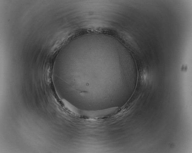 X0000111231060200907091330