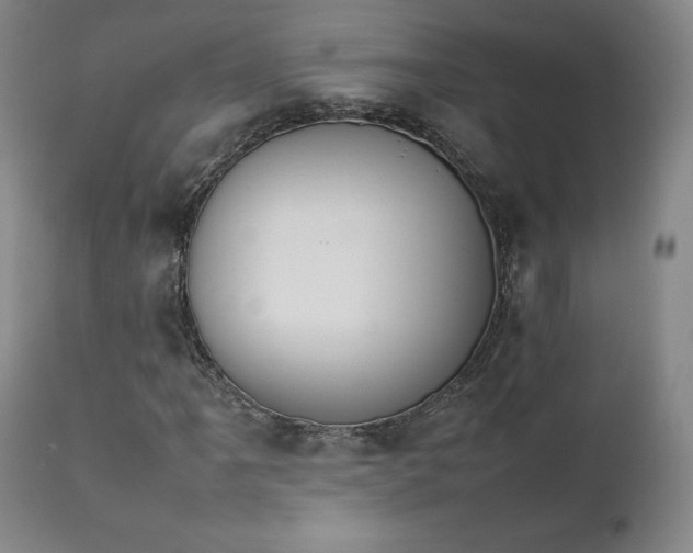 X0000111231061200907091330