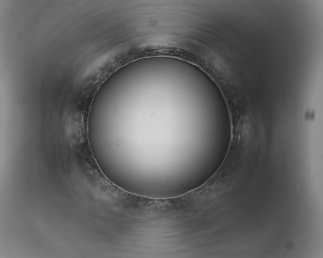X0000111231062200907091330